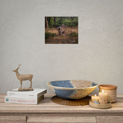 Rolled Posters - Waterbuck and Baby