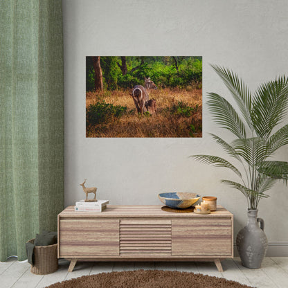 Rolled Posters - Waterbuck and Baby 40" x 28" (Horizontal) Matte