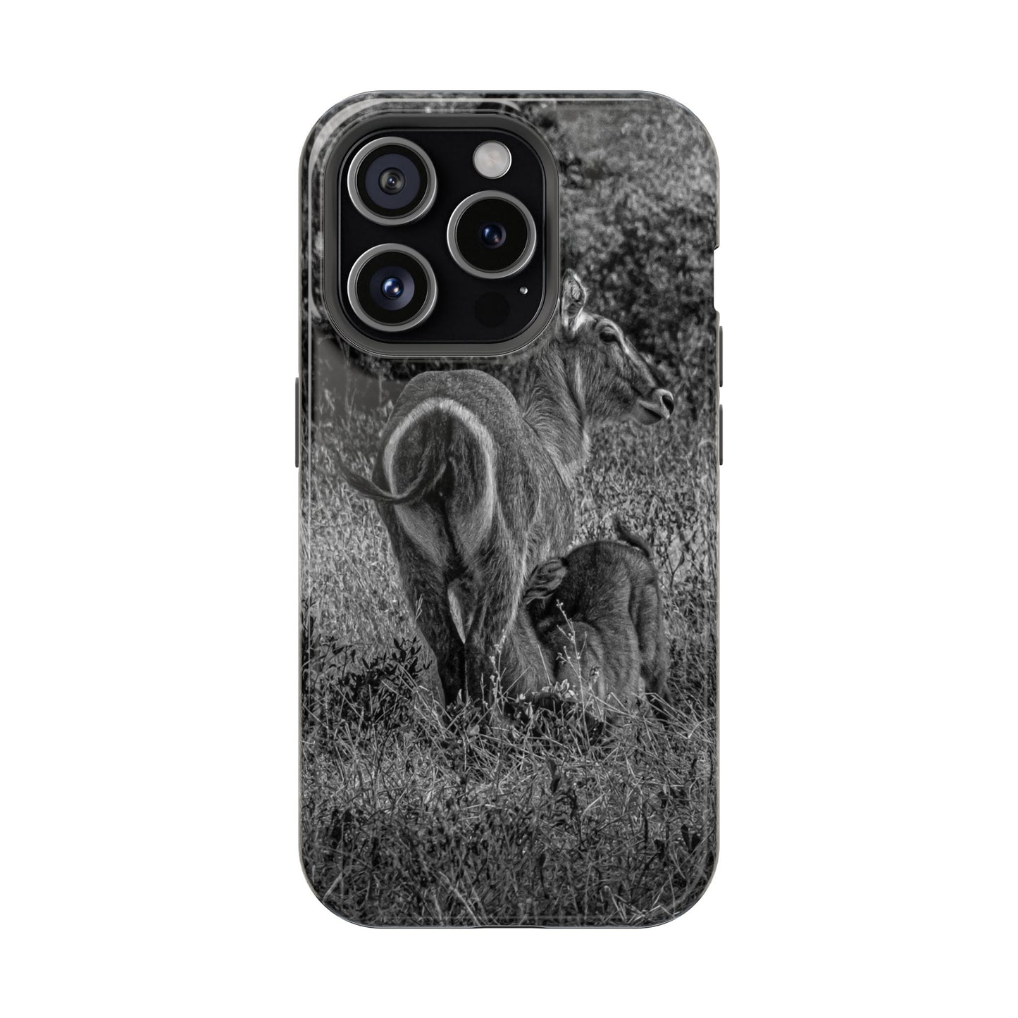 Waterbuck Baby Animal Phone Case - Magsafe B&W iPhone 15 Pro Glossy