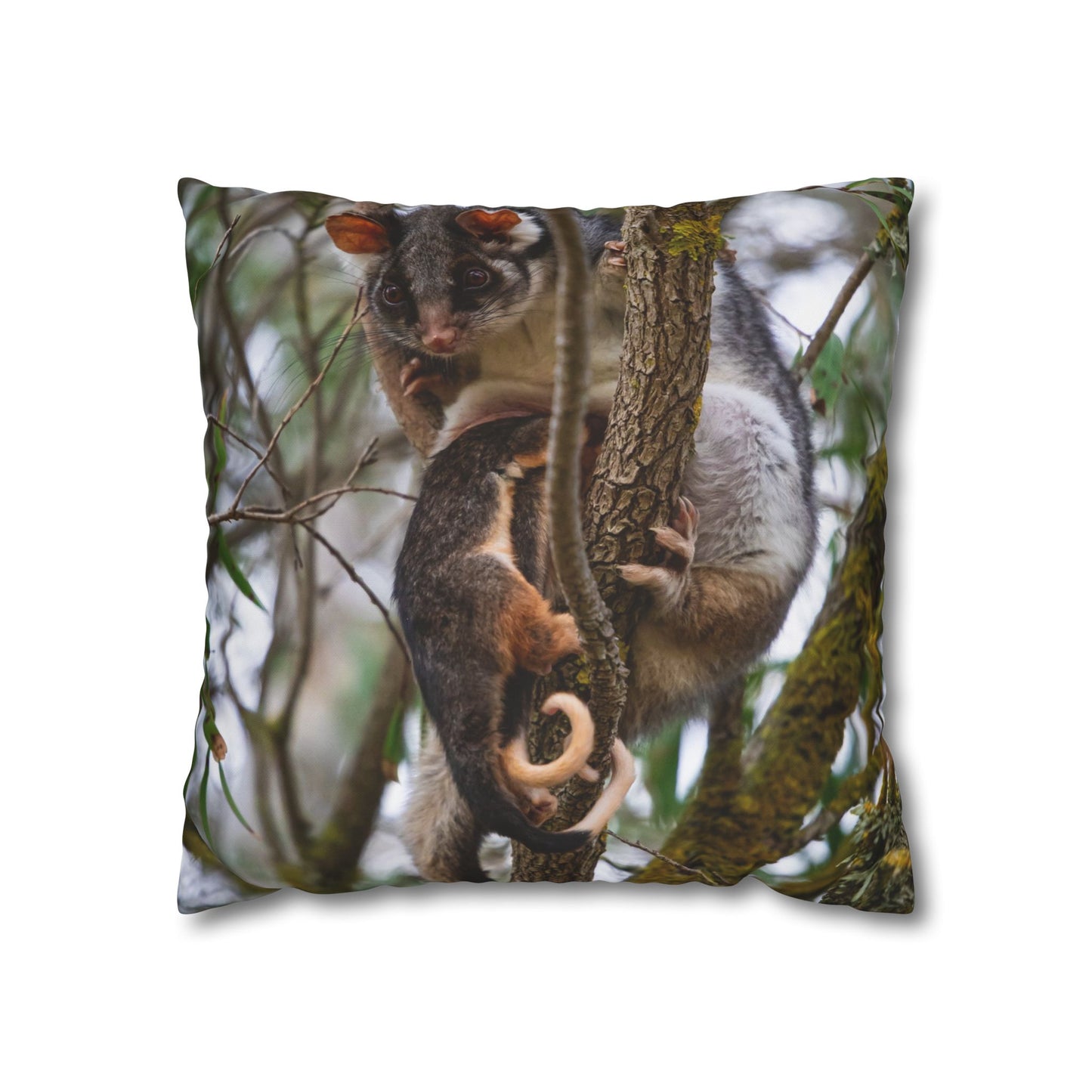 Poly Canvas Pillowcase - Possum and Joeys