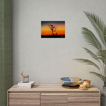 Rolled Posters - Sunset over the Kalahari 16.5" x 11.7" (Horizontal) Semi Glossy