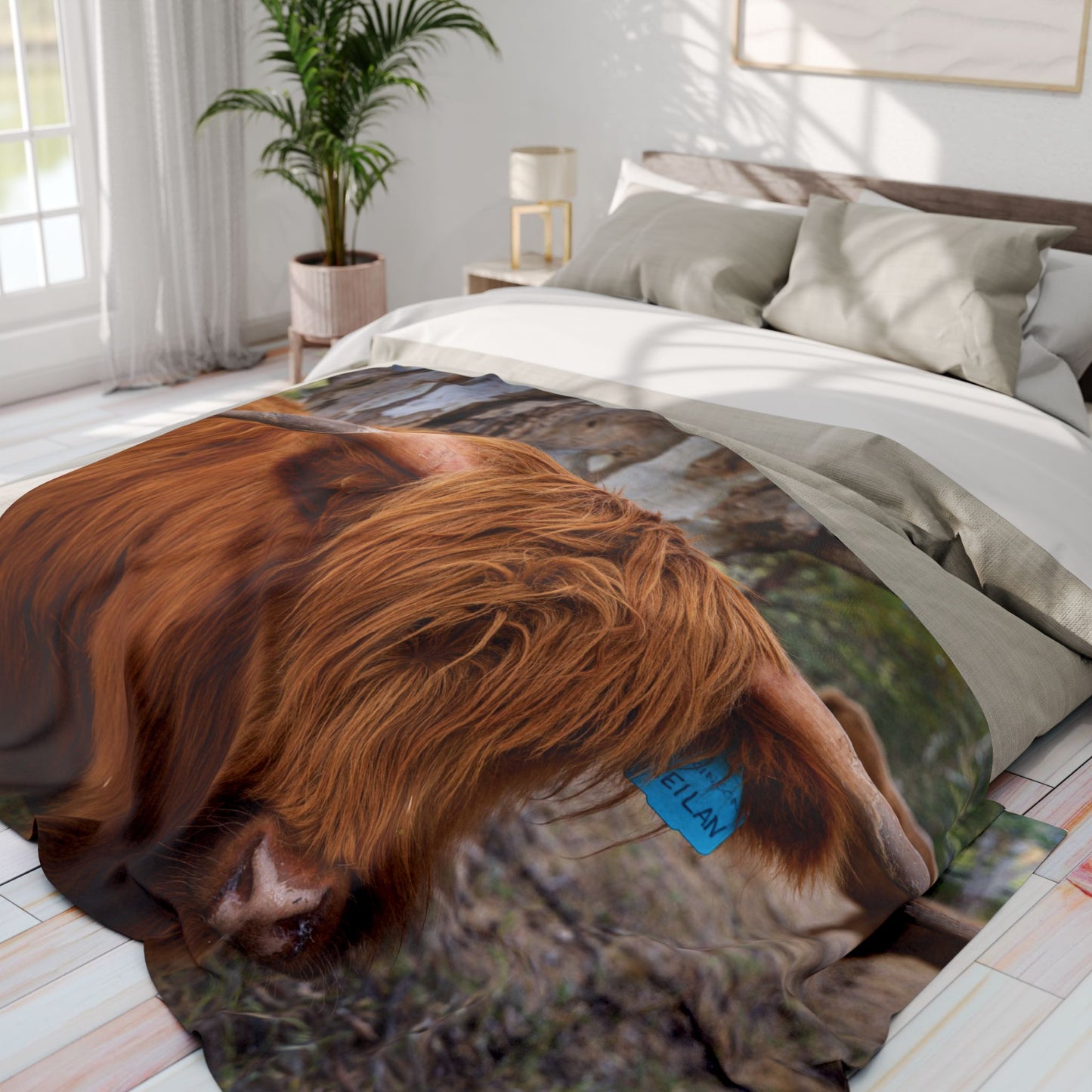 Arctic Fleece Blanket - Scottish Highland Cattle