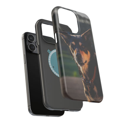 Magsafe® Compatible Tough Cases - Saba The Kelpie