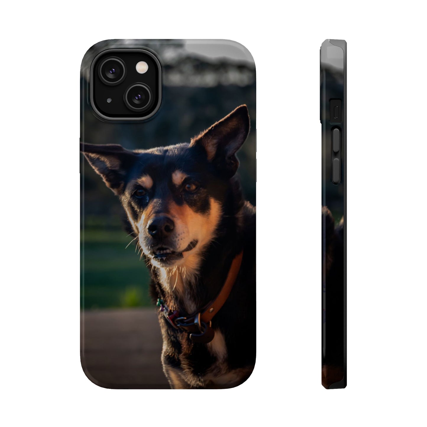 Magsafe® Compatible Tough Cases - Saba The Kelpie iPhone 14 Plus Glossy