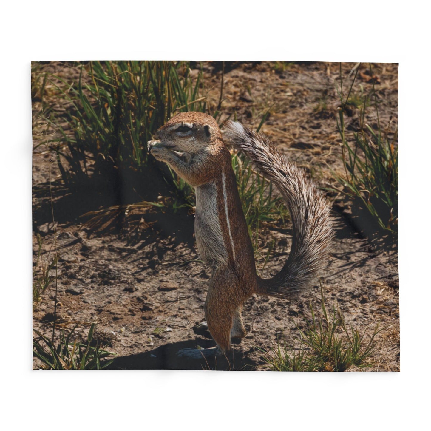 Arctic Fleece Blanket - Ground Squirrel