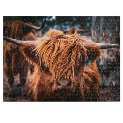 Scottish Highland Cattle Puzzle with Tin 21" × 15.5" (500 pcs)