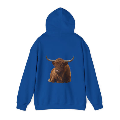 Highland Cattle Hoodie