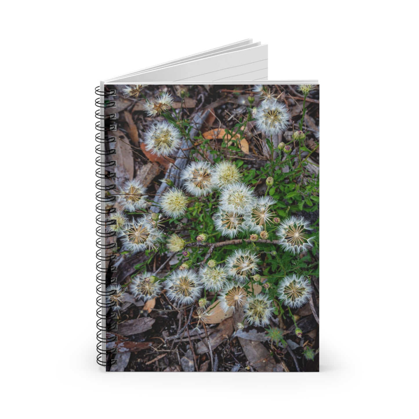 Spiral Notebook - Ruled Line - Australian Wildflower Collection