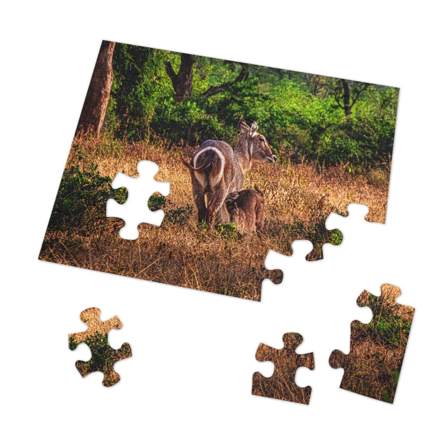 Waterbuck Photo Jigsaw Puzzle with Tin