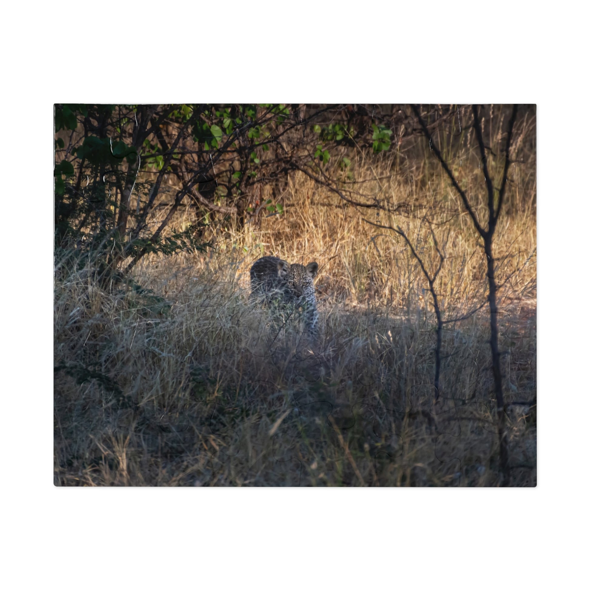 Leopard Cub Photo Jigsaw Puzzle with Tin 10" × 8" (30 pcs)