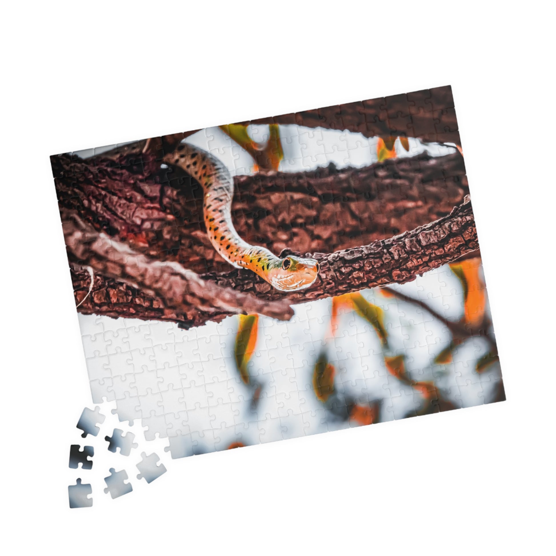 Spotted Bush Snake Puzzle