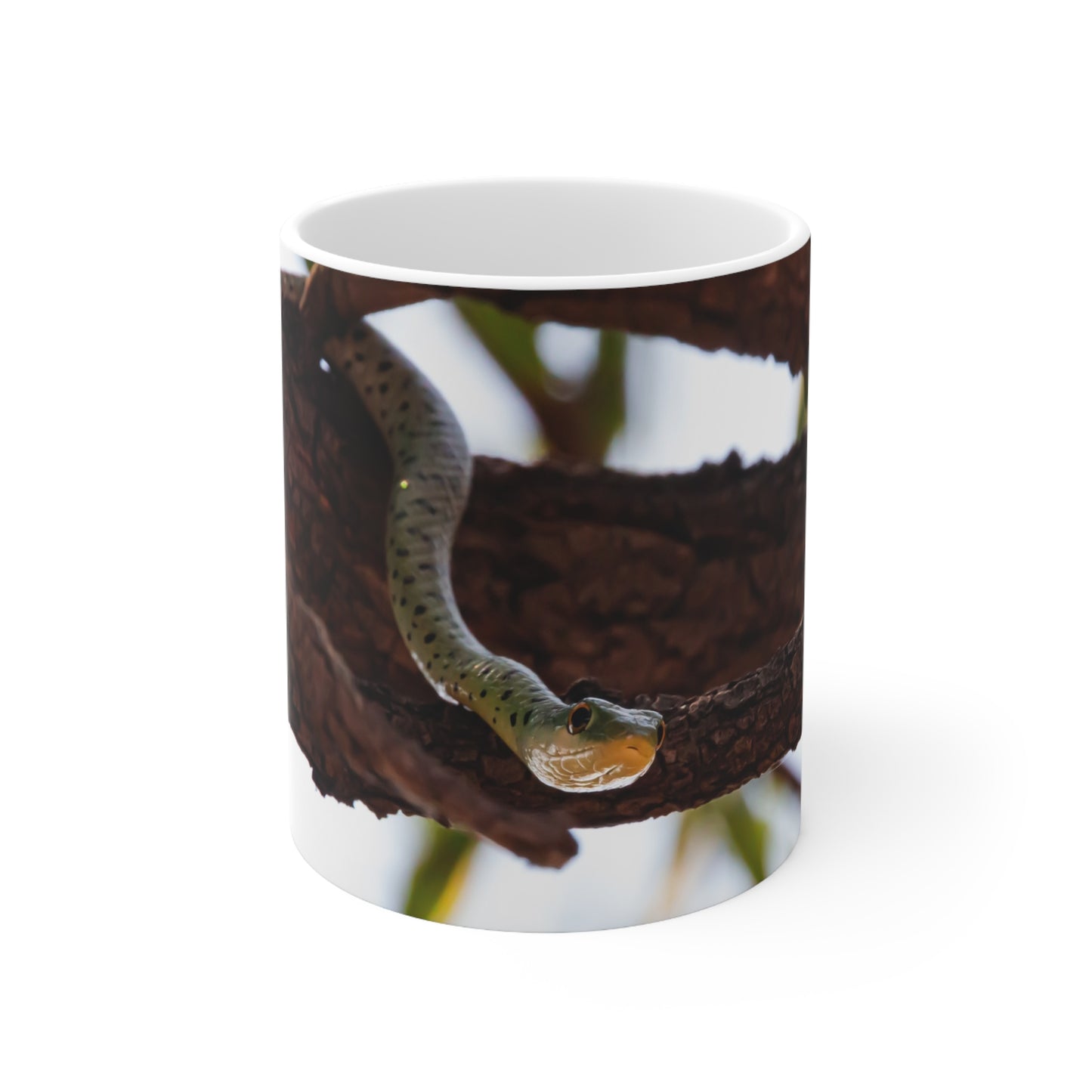 Spotted Bush Snake Mug 11oz