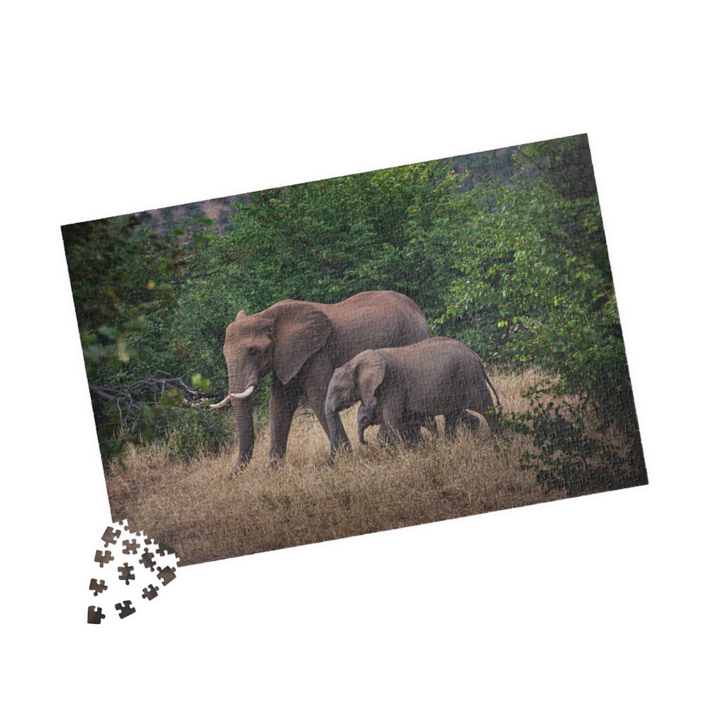 Puzzle (110, 252, 520, 1014-piece) - Elephant Family