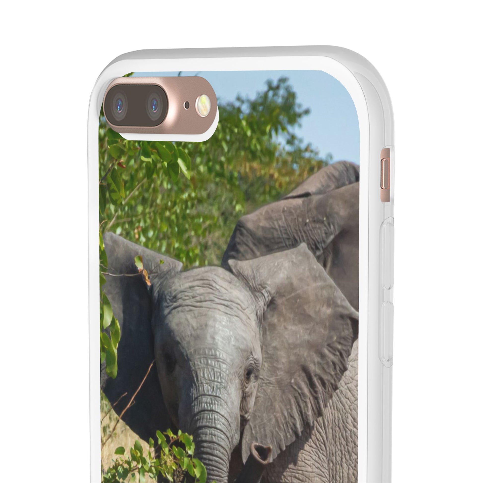 Flexi Cases - Young Elephant