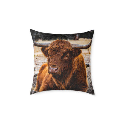 Highland Cattle Pillow 20" × 20"