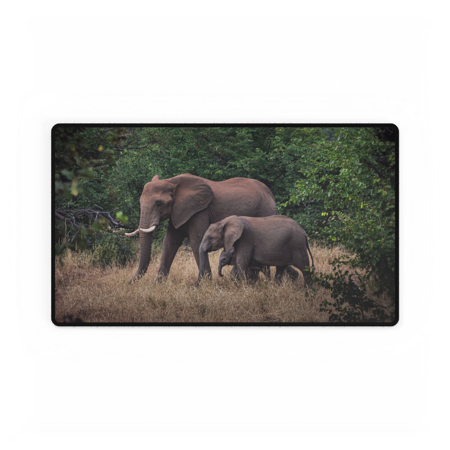 Desk Mats - Elephant Family