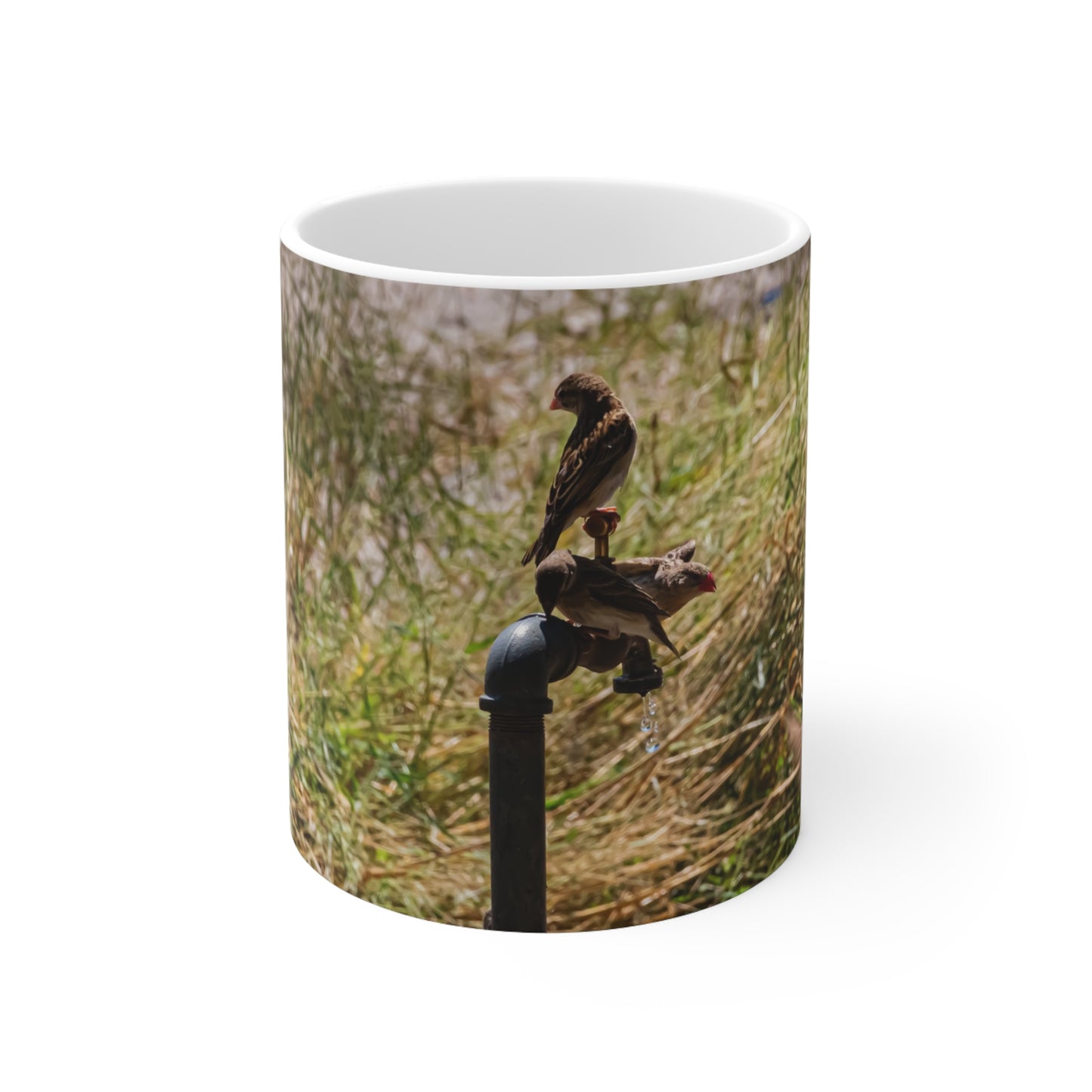 African Birds Mug