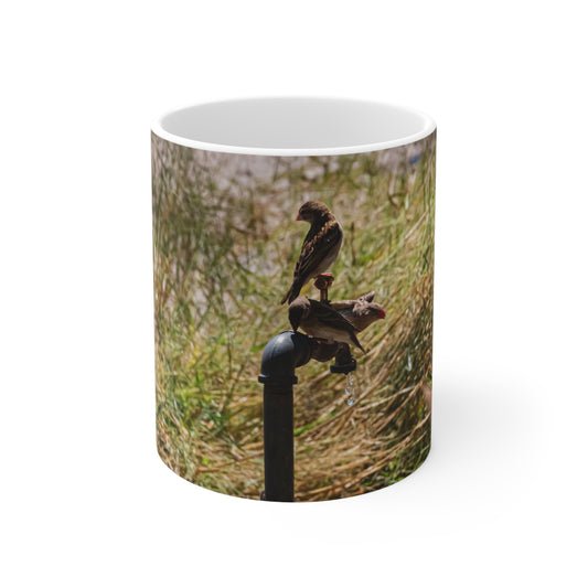 African Birds Mug