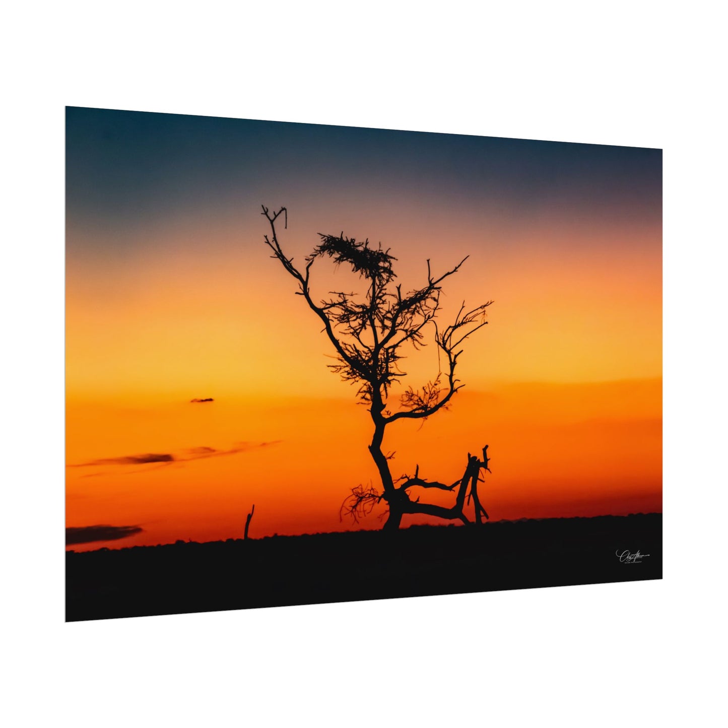 Rolled Posters - Sunset over the Kalahari