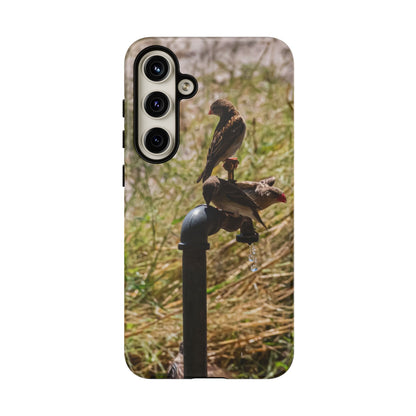 Tough Case - Birds at A Dripping Tap Samsung Galaxy S24 Plus Matte