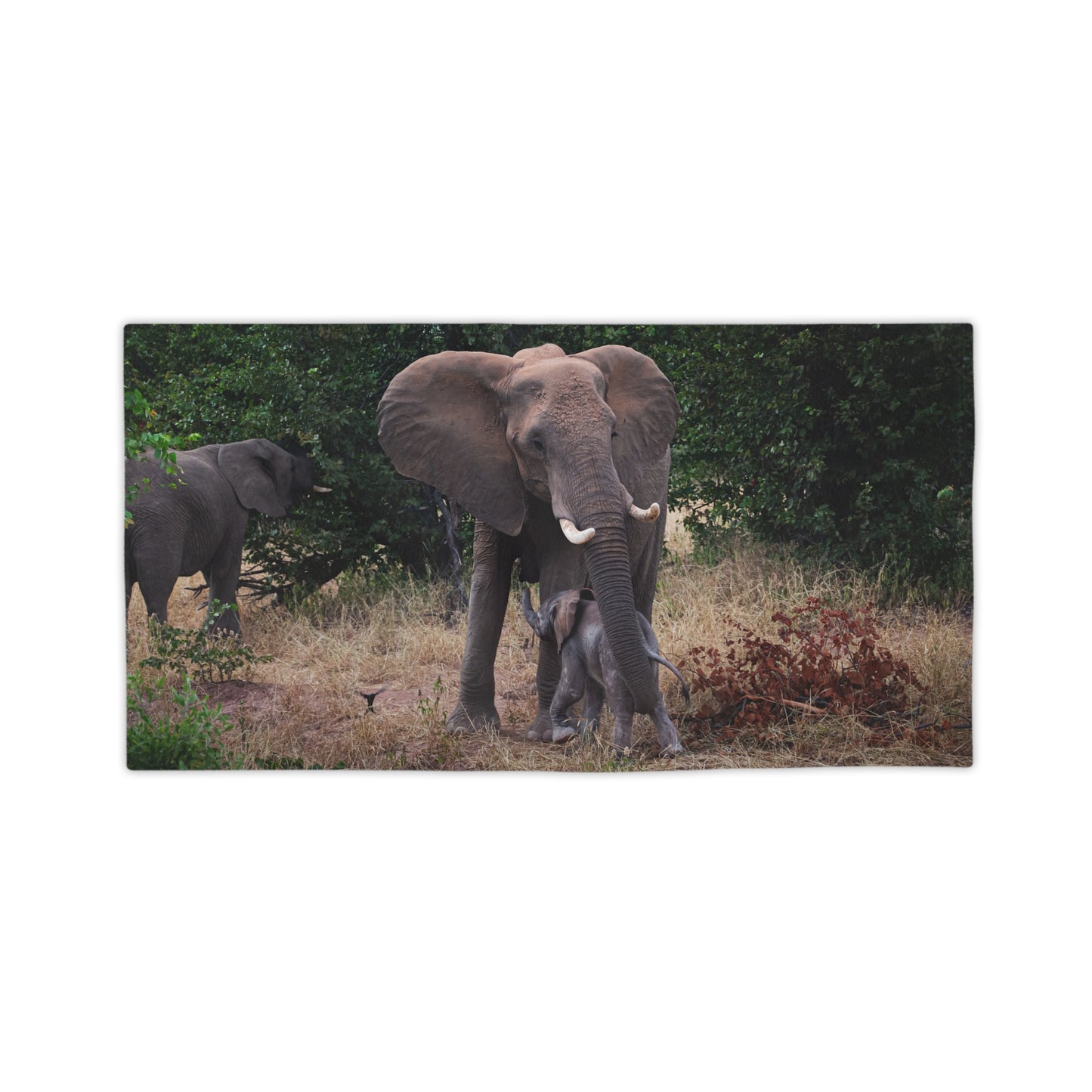 Beach Towels - Elephant and Calf