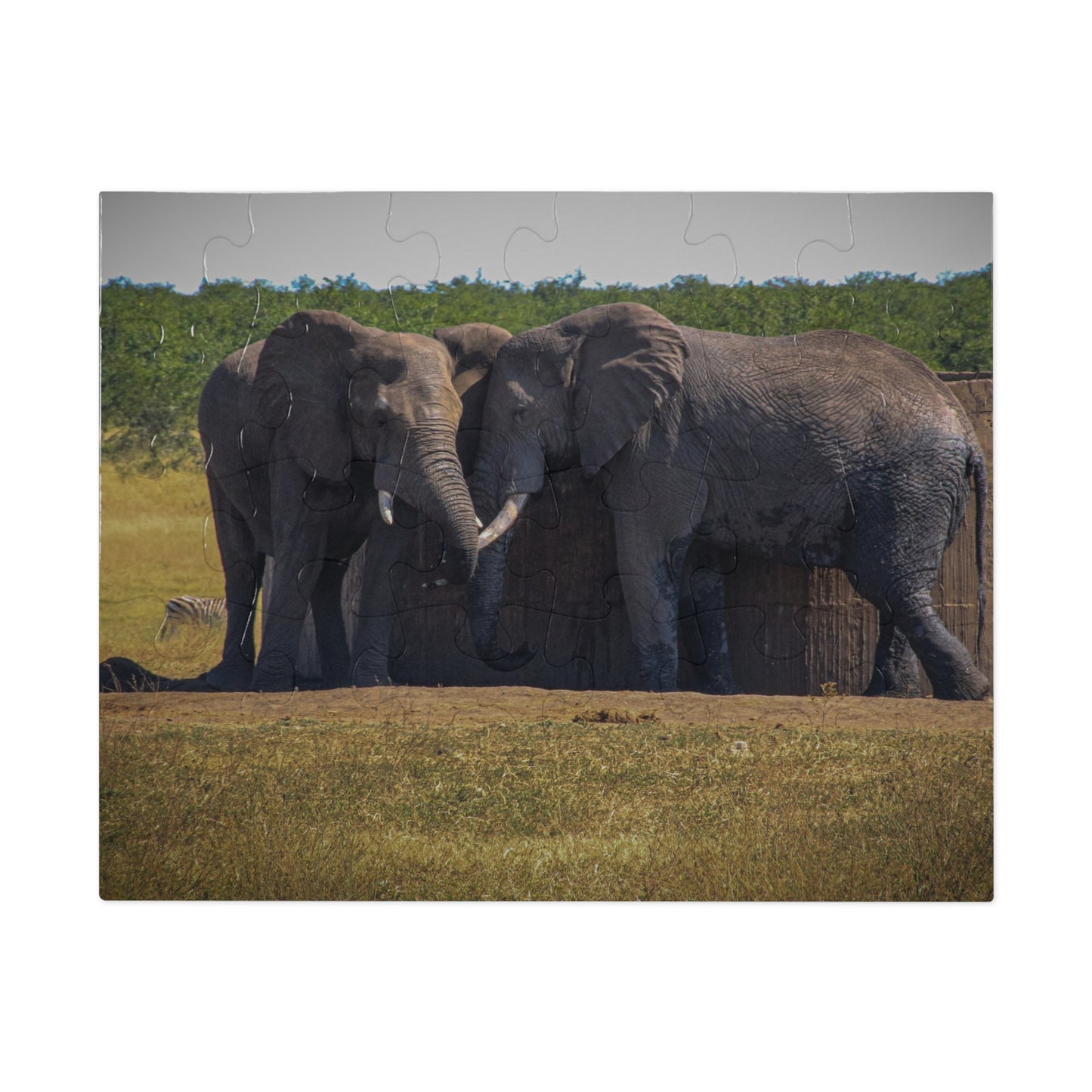 Jigsaw Puzzle (30, 110, 252, 500 Piece) - Elephant Friends