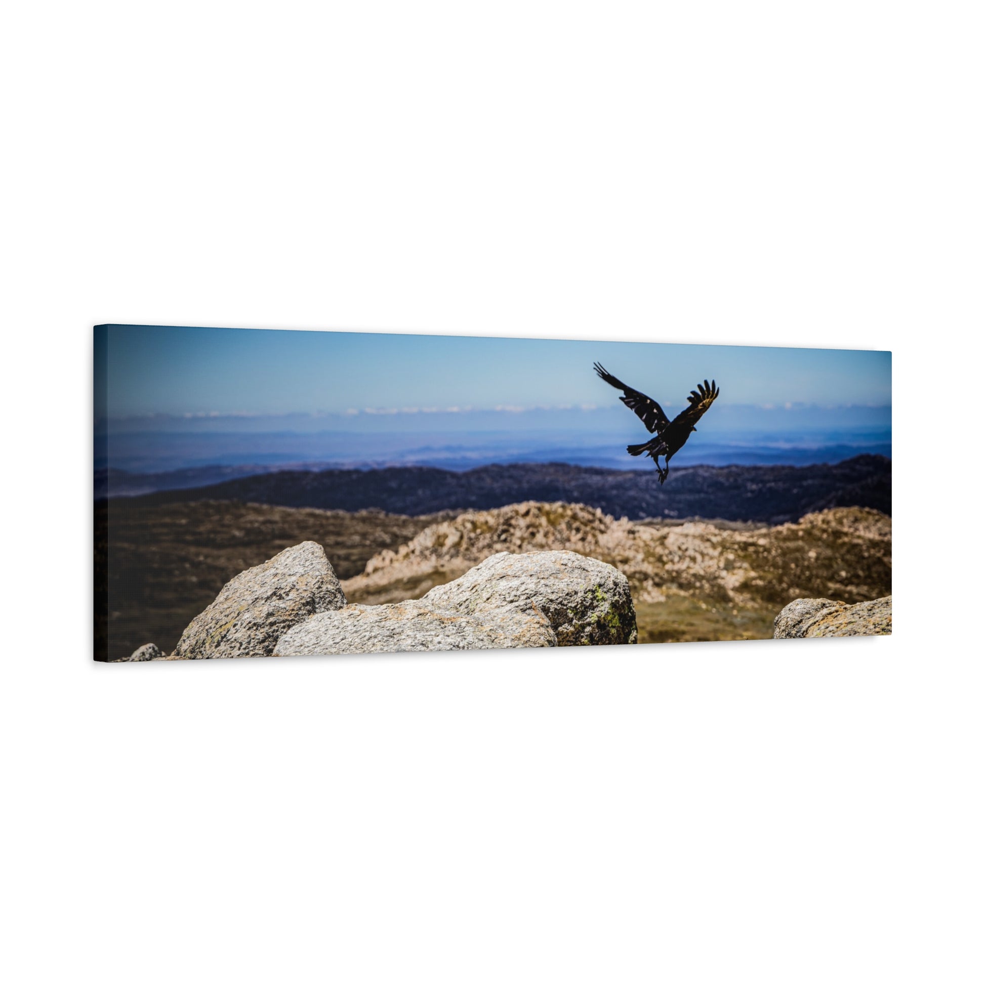 Little Raven Mt Kosciuszko Canvas Print