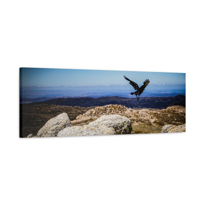 Little Raven Mt Kosciuszko Canvas Print