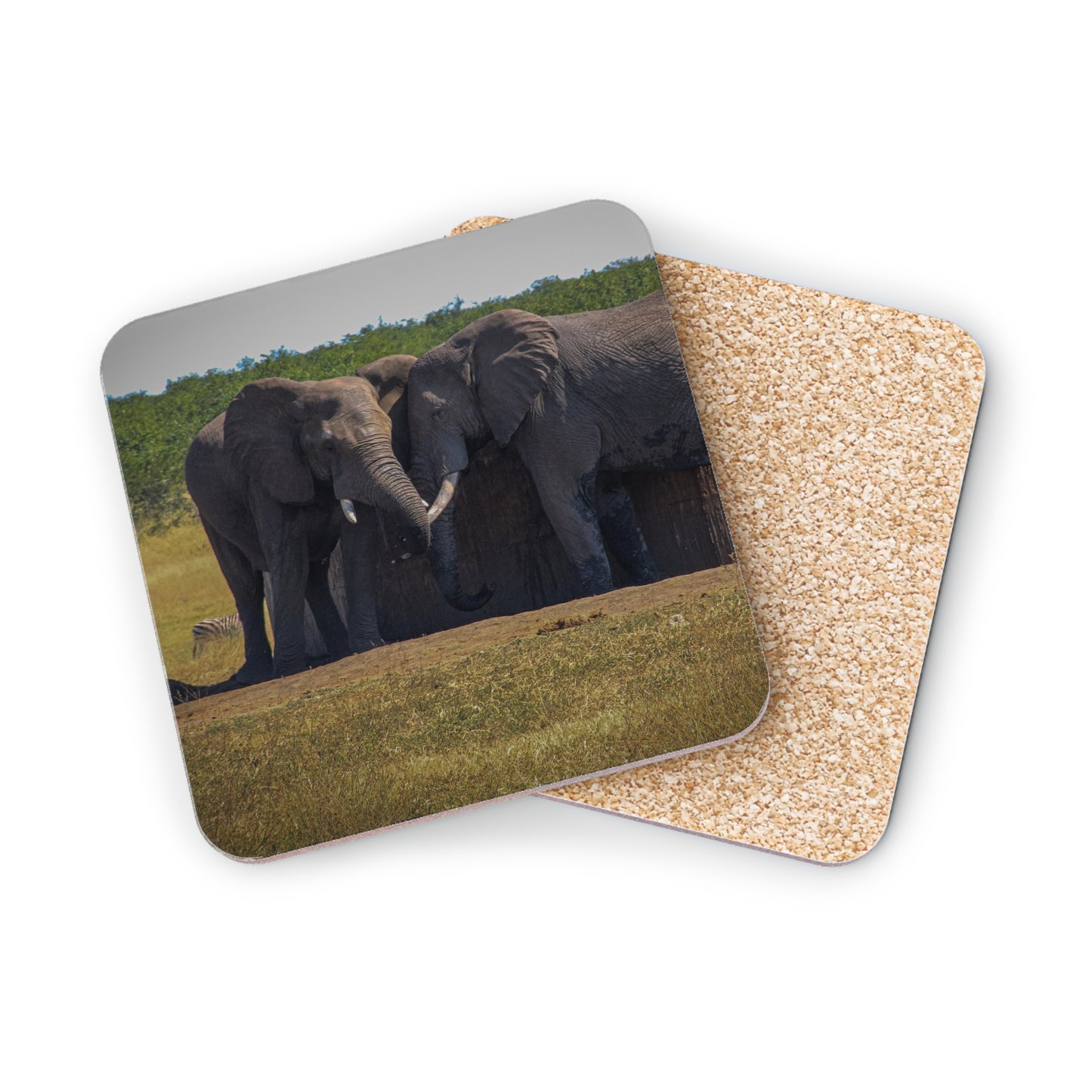 Friendly Elephants Coaster Square 3.7" x 3.7" 1pc