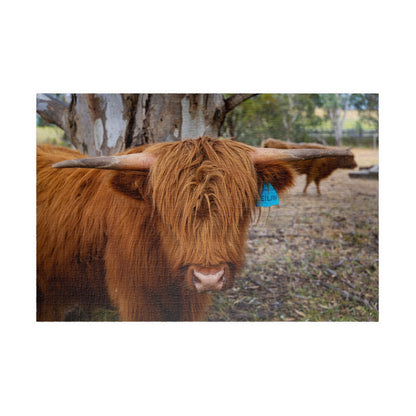 Scottish Highland Cattle Puzzle