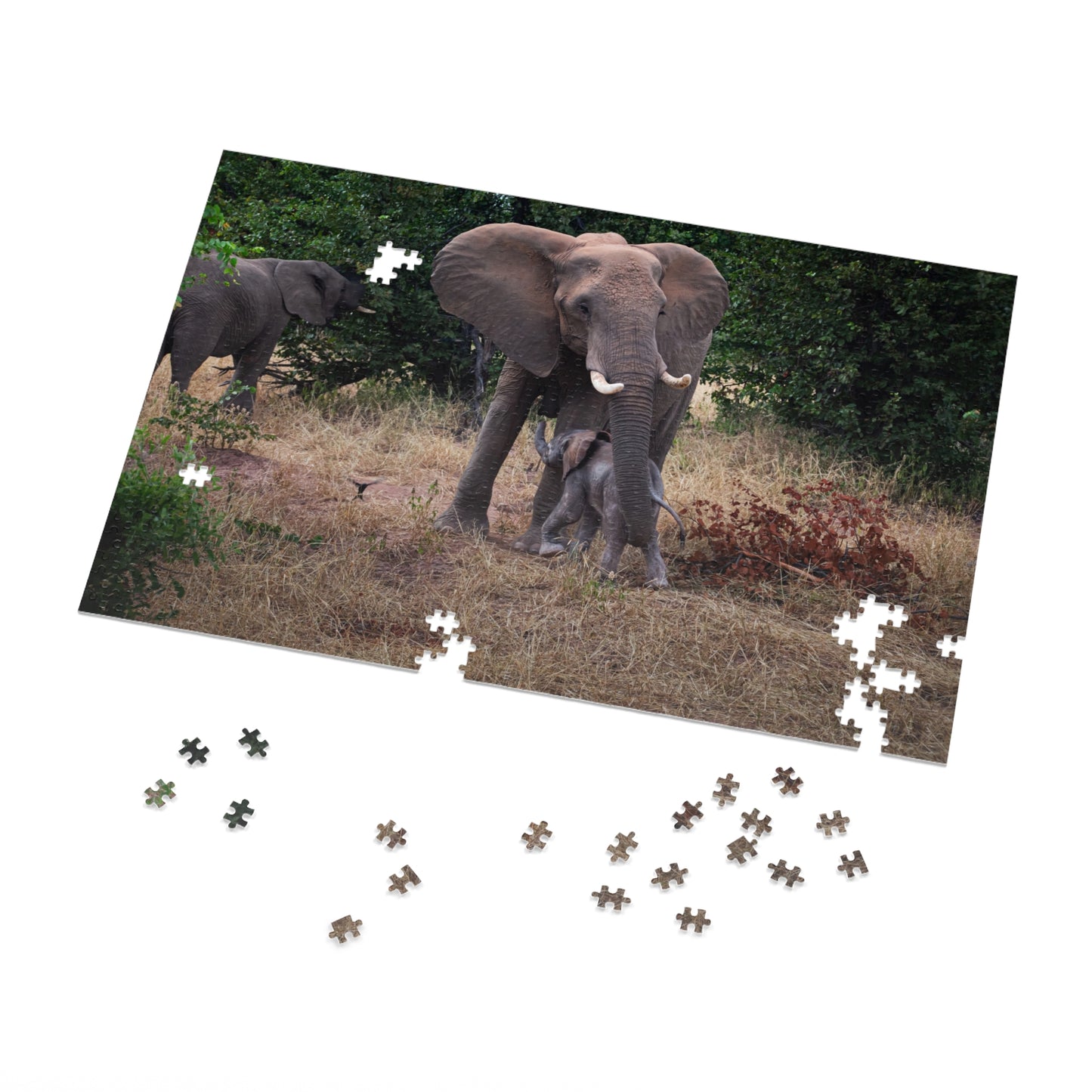 Jigsaw Puzzle (30, 110, 252, 500, 1000 Piece) - Elephant and Calf