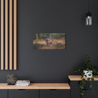 Matte Canvas, Stretched, 1.25" - Waterbuck and Baby