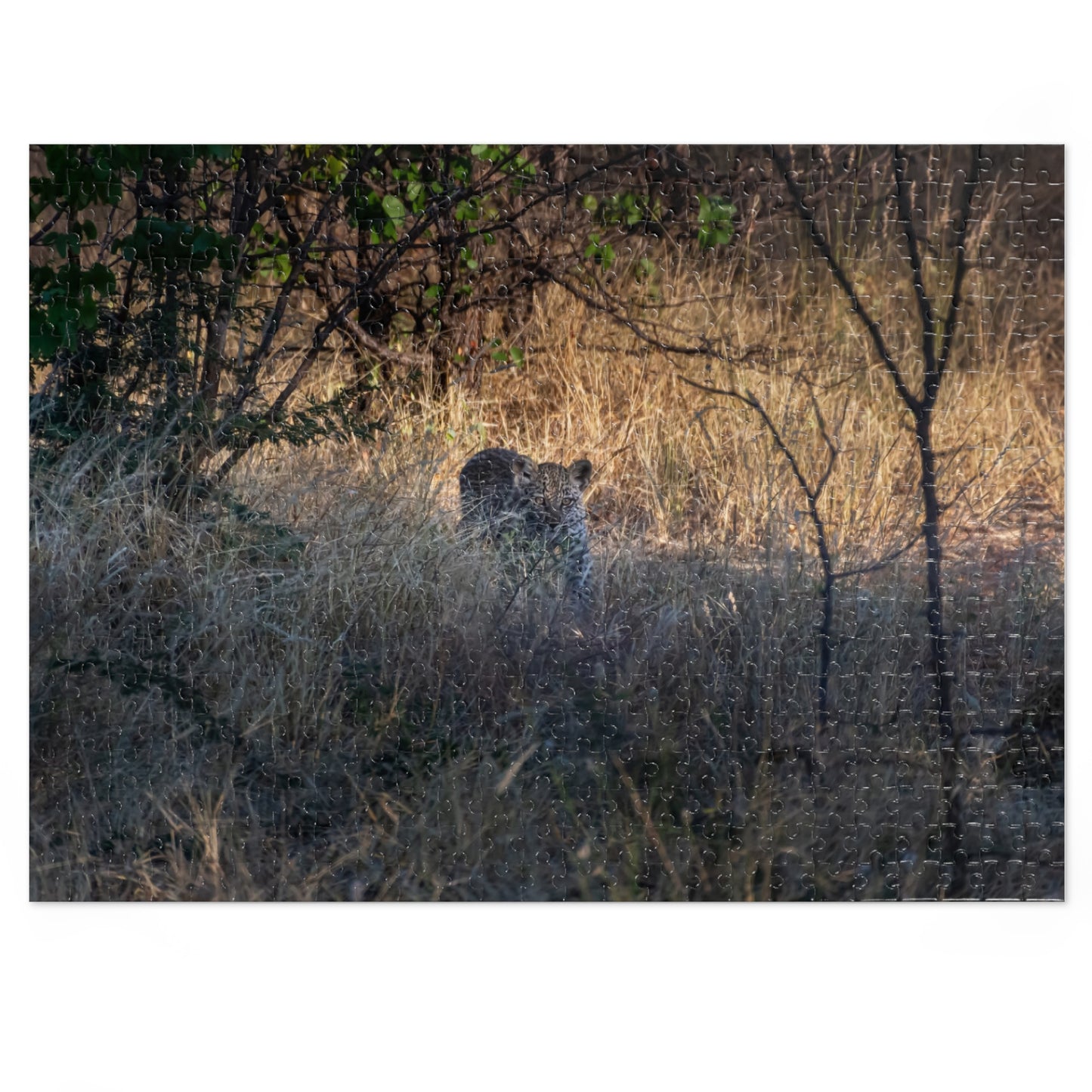 Jigsaw Puzzle (30, 110, 252, 500, 1000 Piece) - Leopard Cub