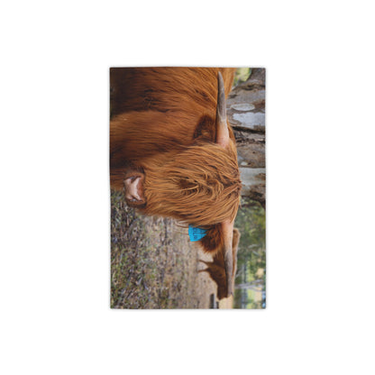 Beach Towels - Scottish Highland Cattle