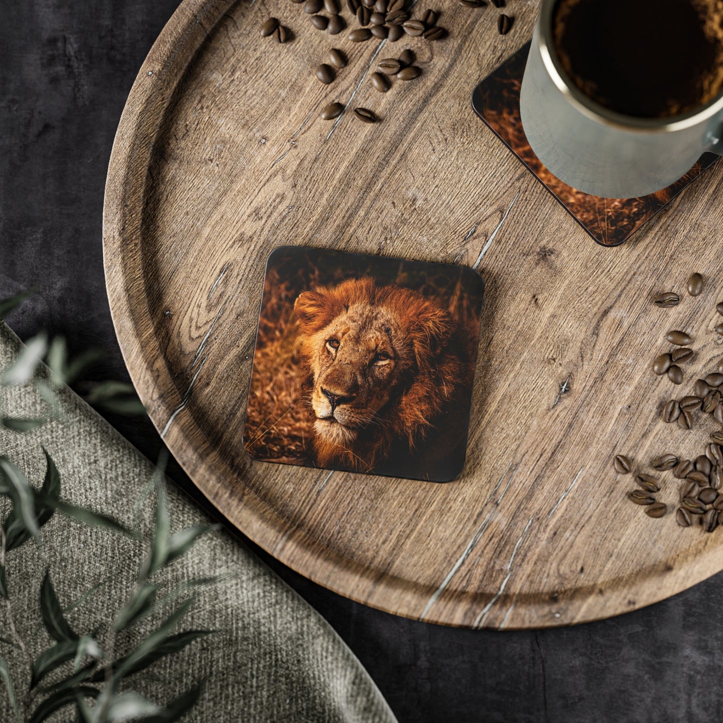 Male Lion Coasters