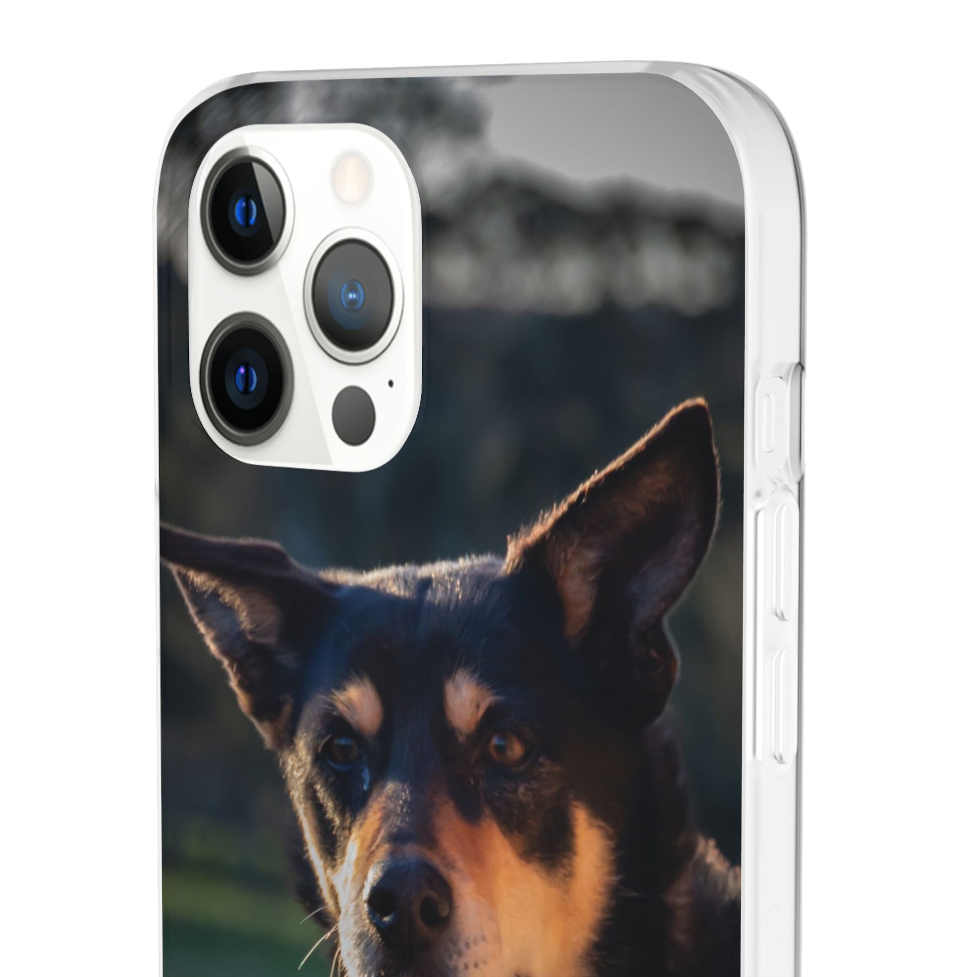 Kelpie Dog Flexi Case