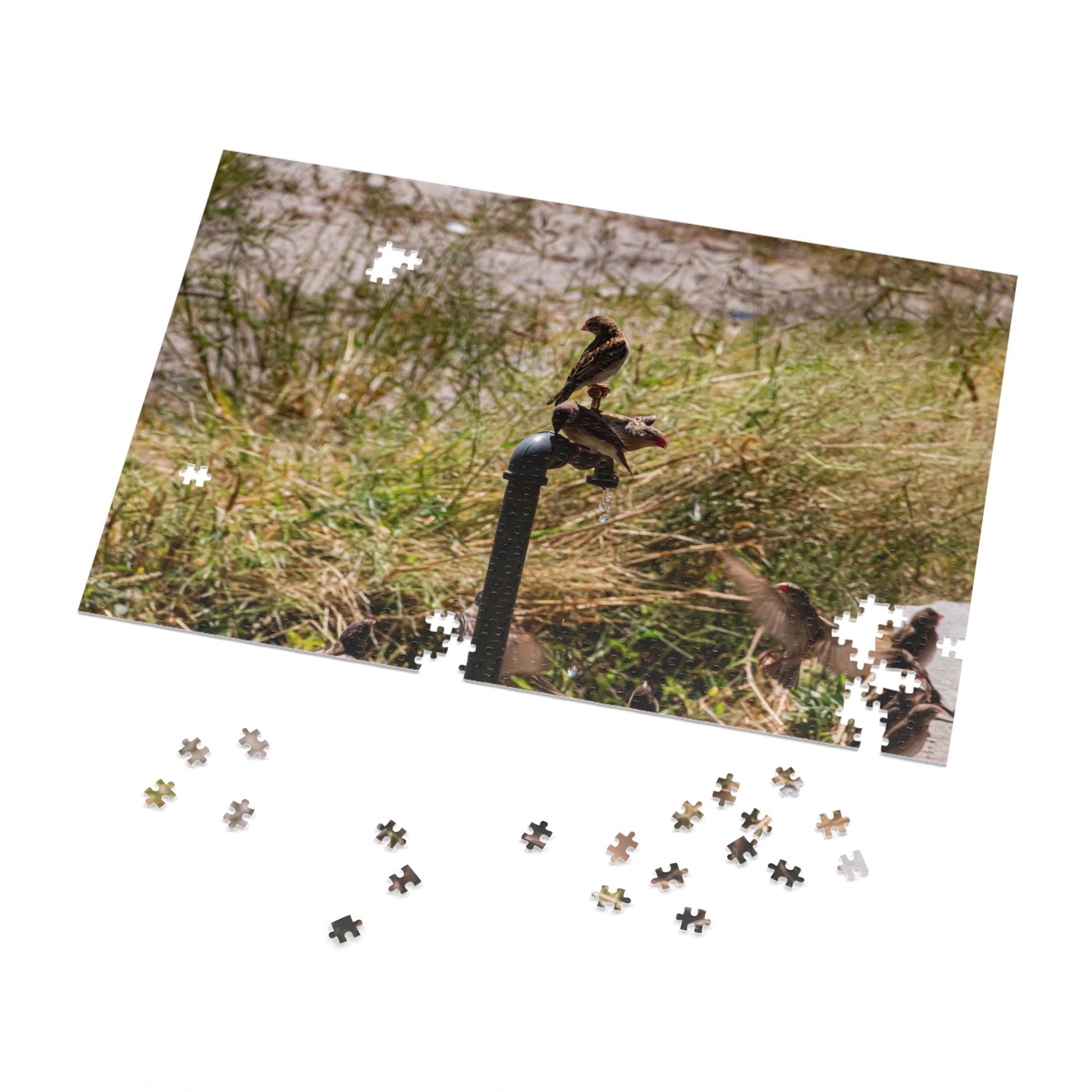 African Birds Jigsaw Puzzle with Tin