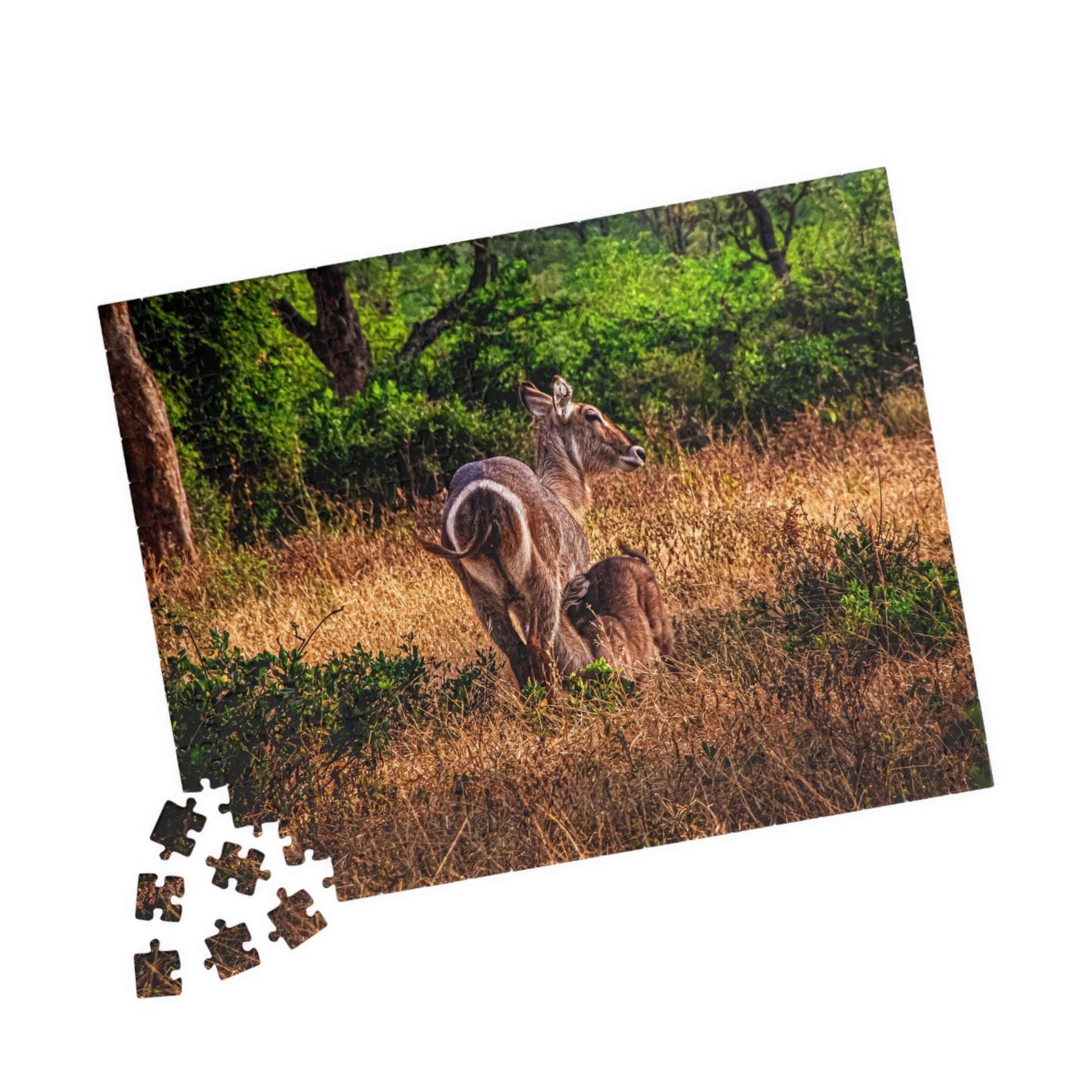 Waterbuck Photo Jigsaw Puzzle