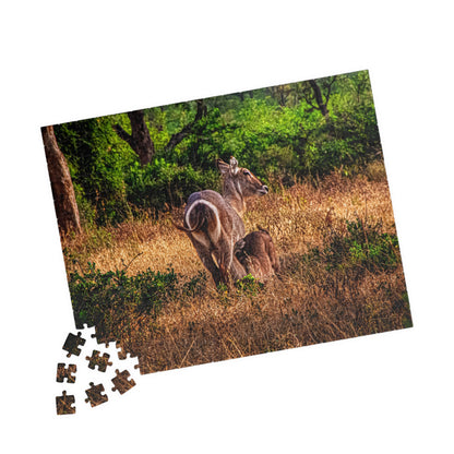 Waterbuck Photo Jigsaw Puzzle