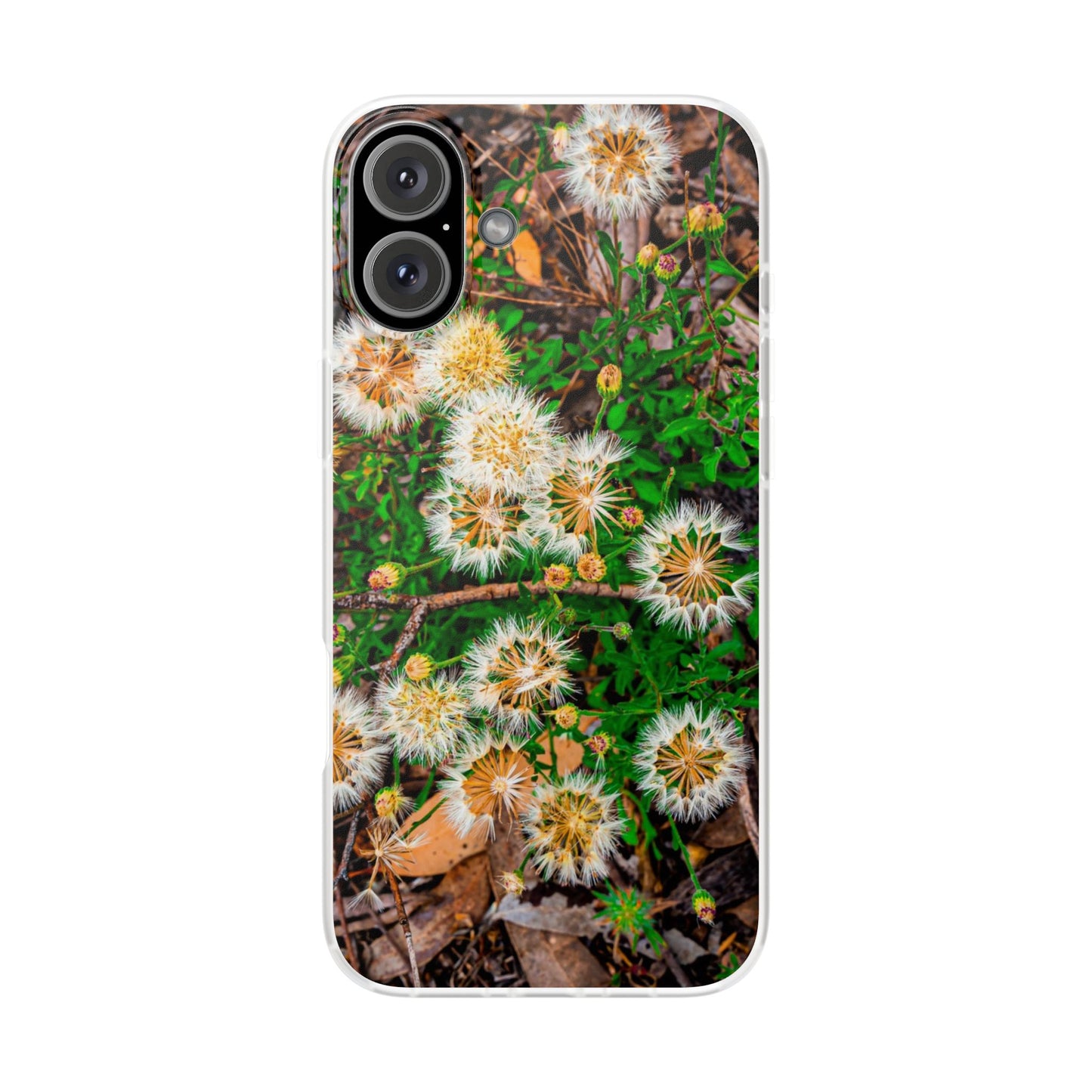 Wildflower Phone Case Australia iPhone 16 Plus