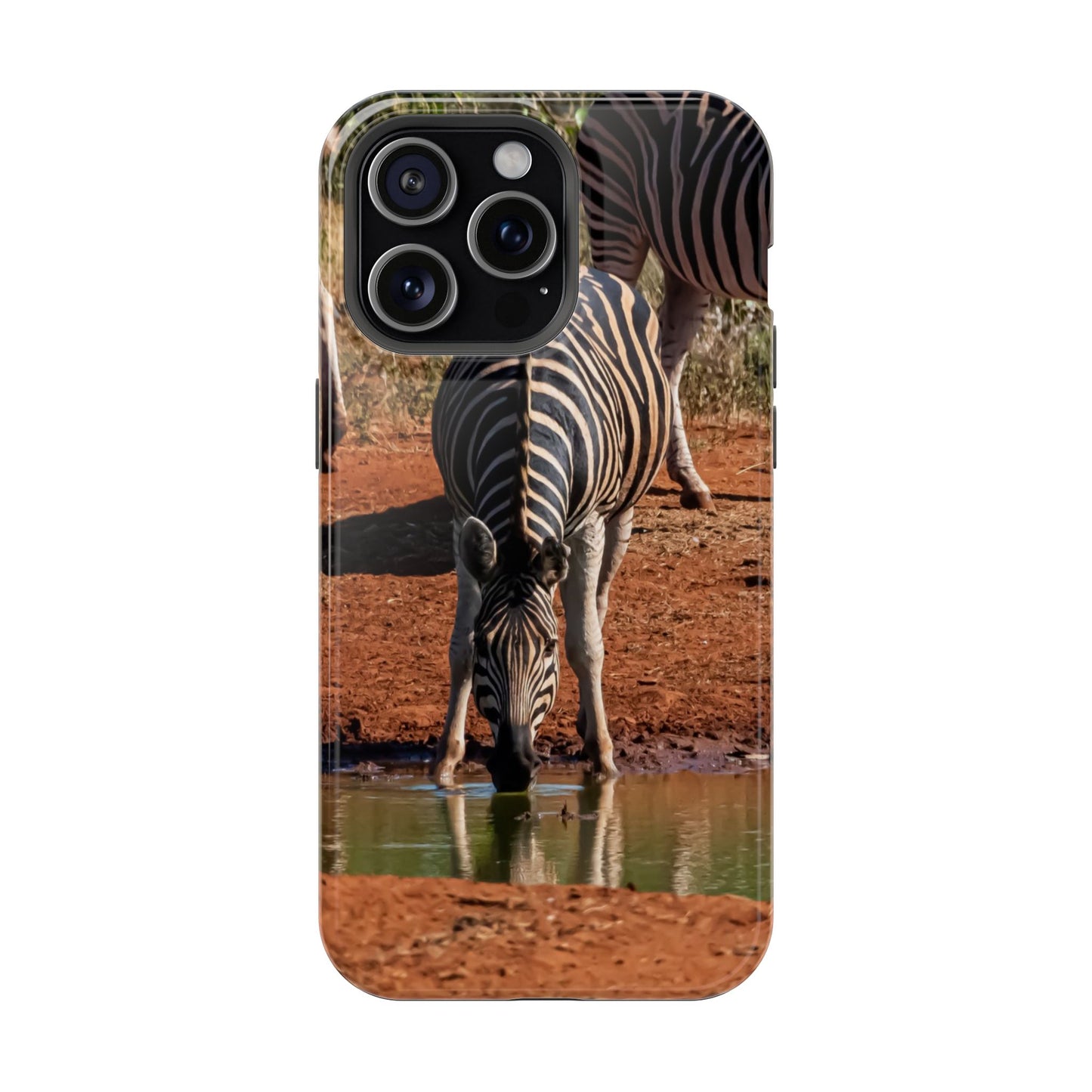 Magsafe® Compatible Tough Cases - Zebra Drinking iPhone 15 Pro Max Glossy