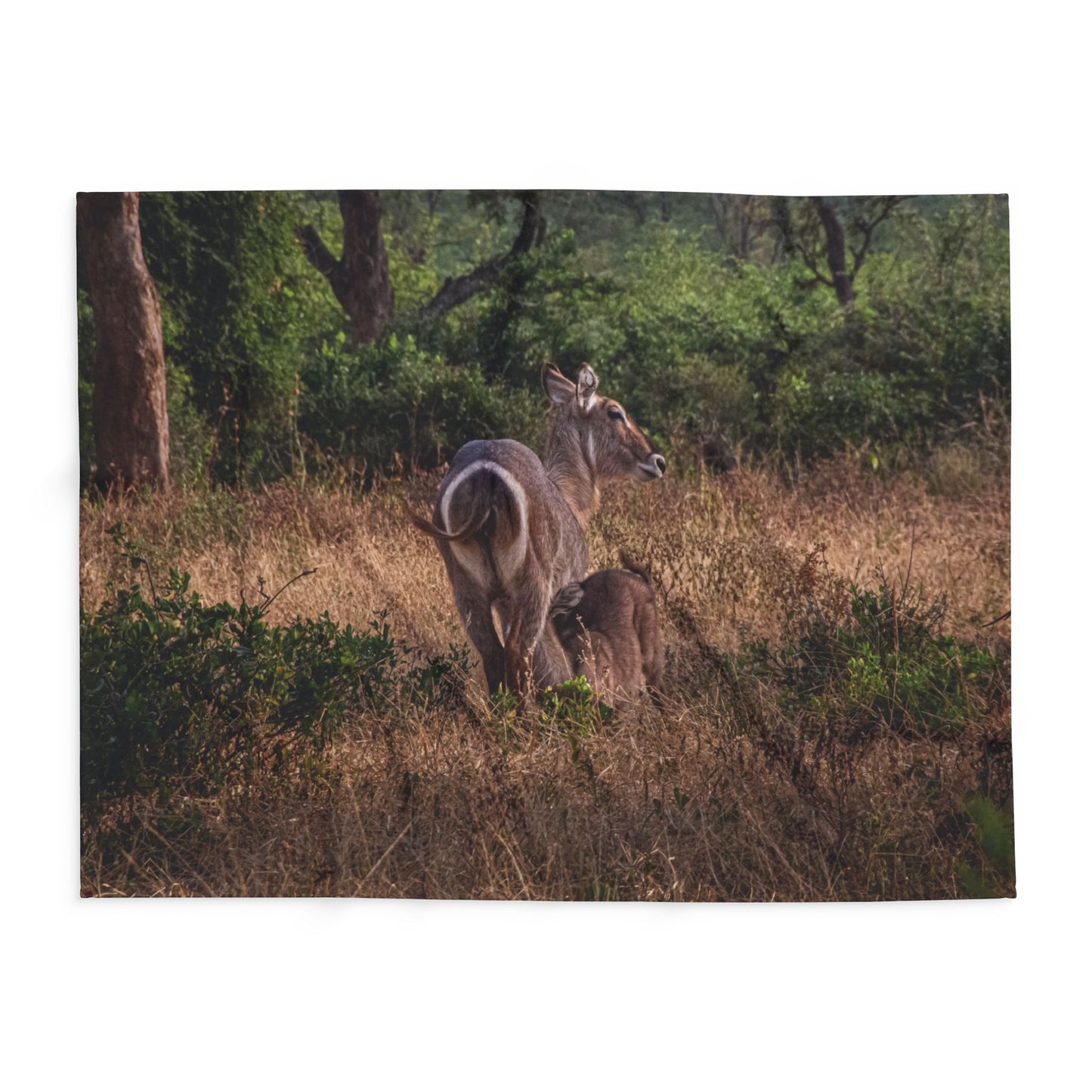 Arctic Fleece Blanket - Waterbuck and Baby