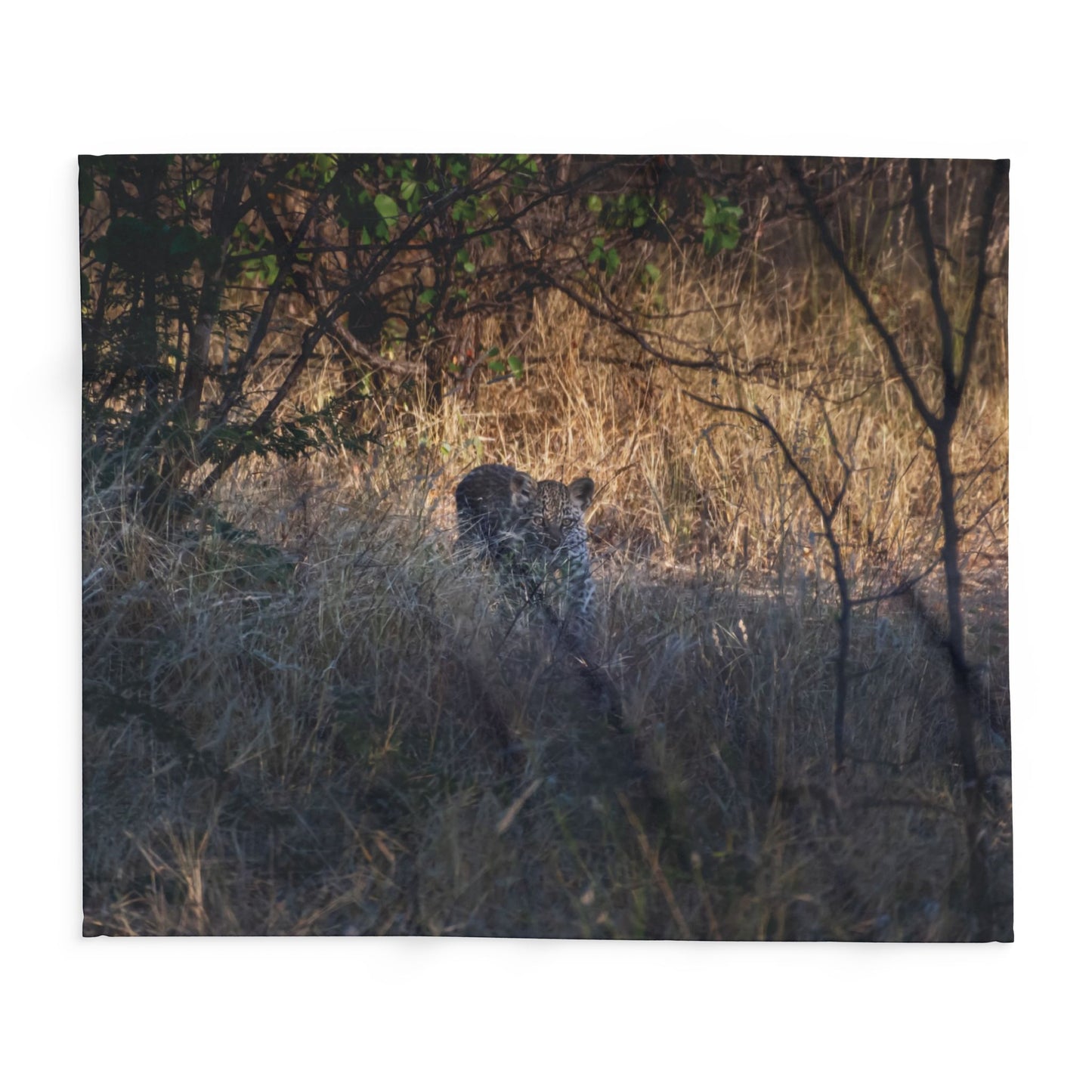 Arctic Fleece Blanket - Leopard Cub