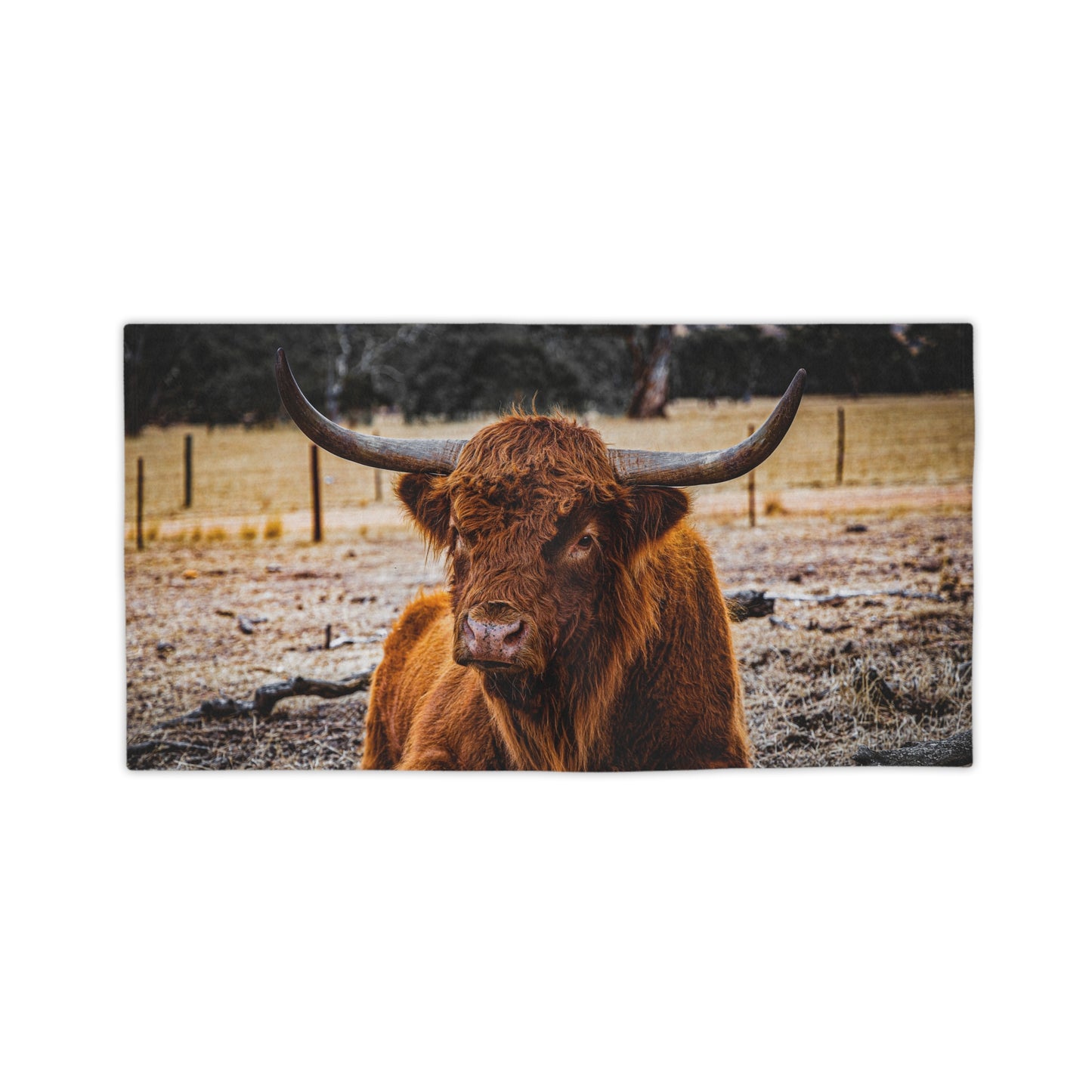 Scottish Highland Beach Towels