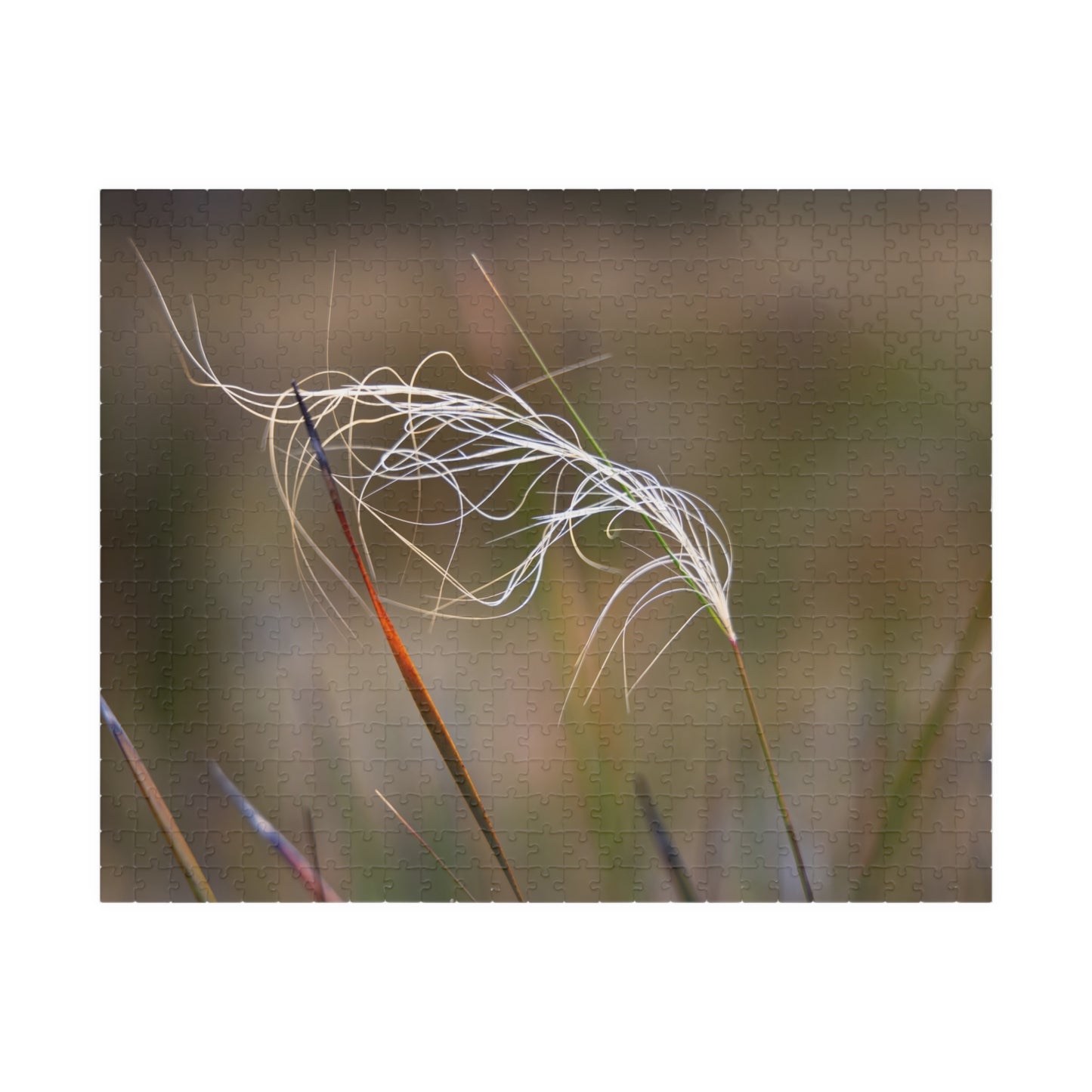 Australian Wildflower Jigsaw Puzzle