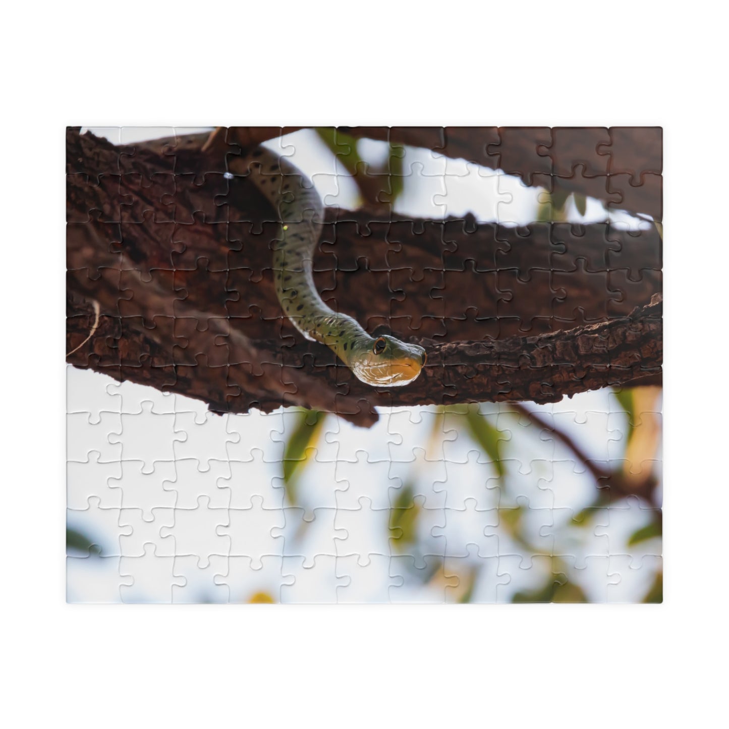 Puzzle (110, 252, 520, 1014-piece) - Spotted Bush Snake