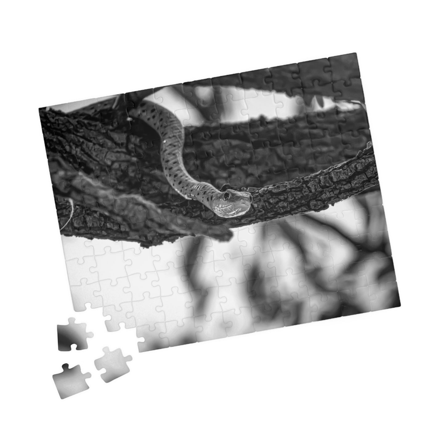 Spotted Bush Snake Puzzle B&W