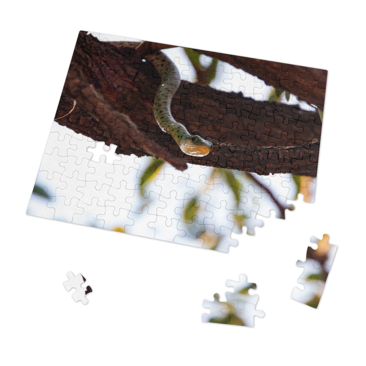 Jigsaw Puzzle (30, 110, 252, 500, 1000 Piece) - Spotted Bush Snake