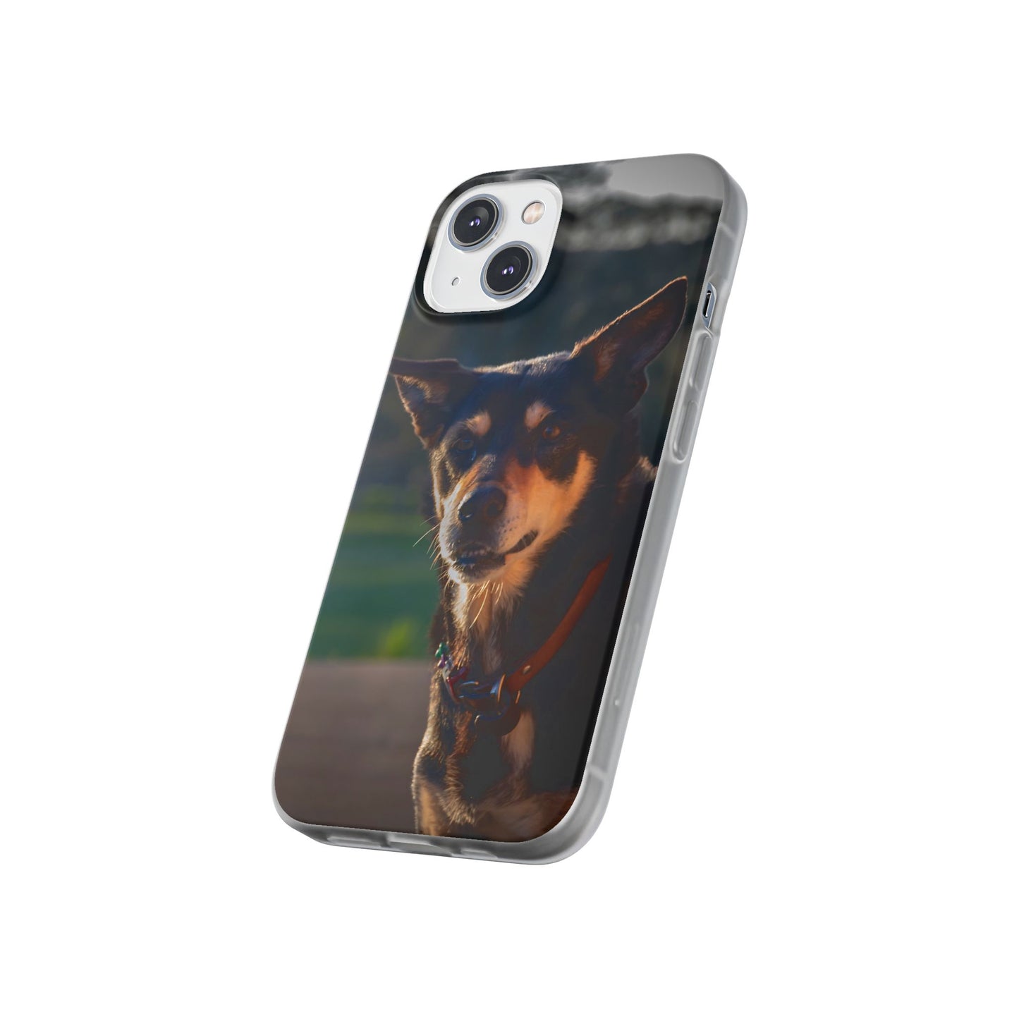 Flexi Cases - Saba the Kelpie