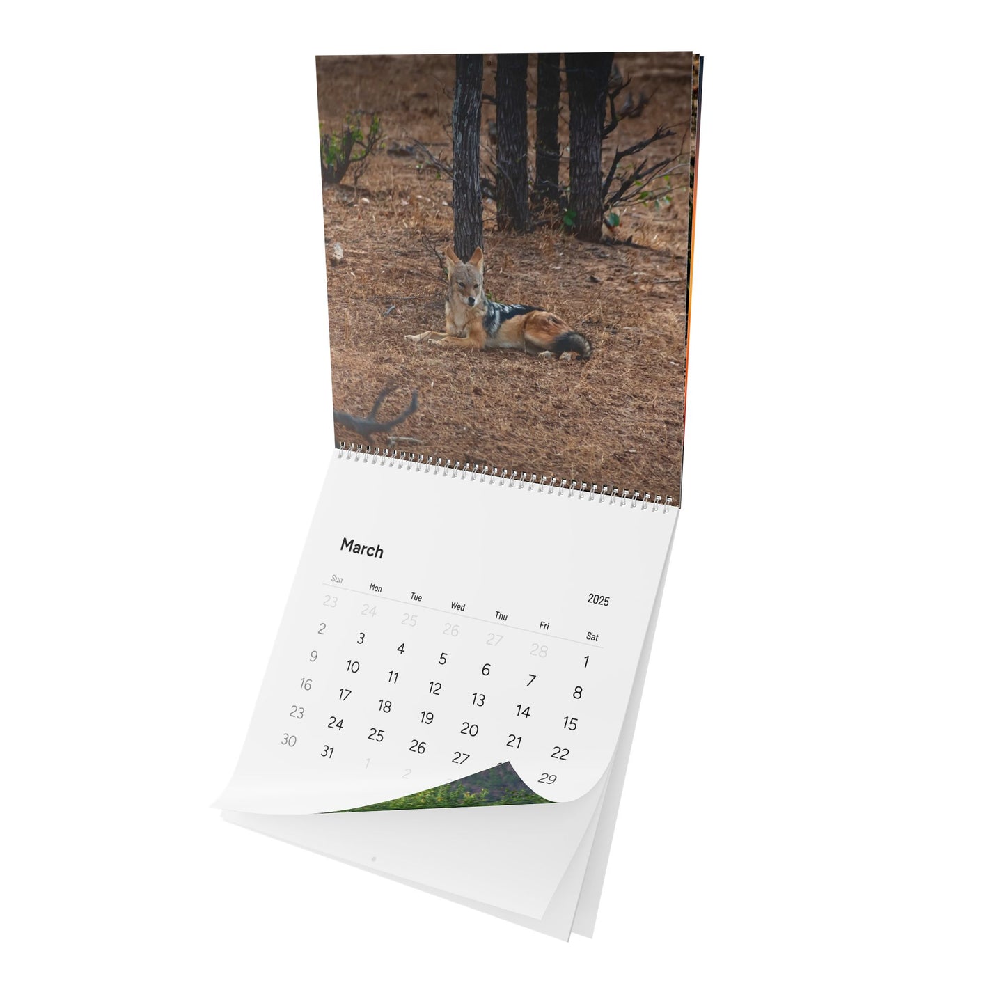 2025 Nature Wildlife Wall Calendar 12" x 12" Matte